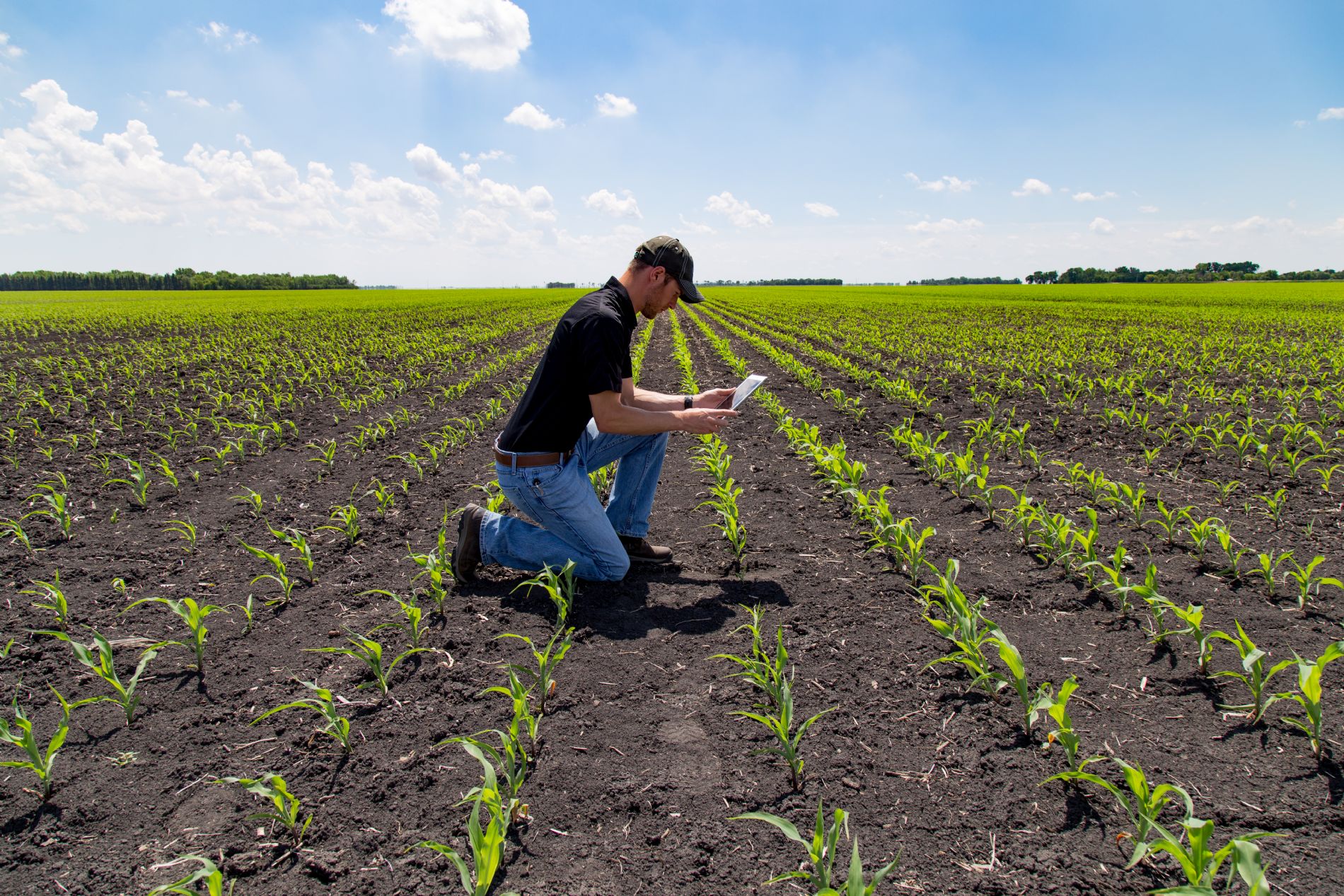 Digitalización En El Sector Agroalimentario Convirtamos Las Amenazas