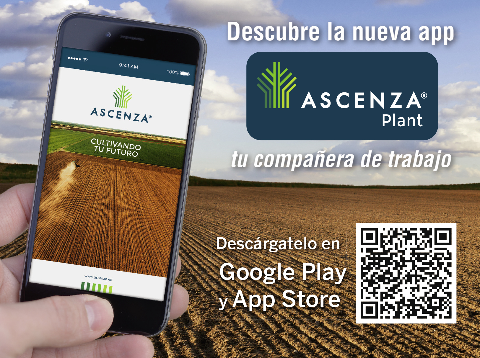 Ascenza Plant