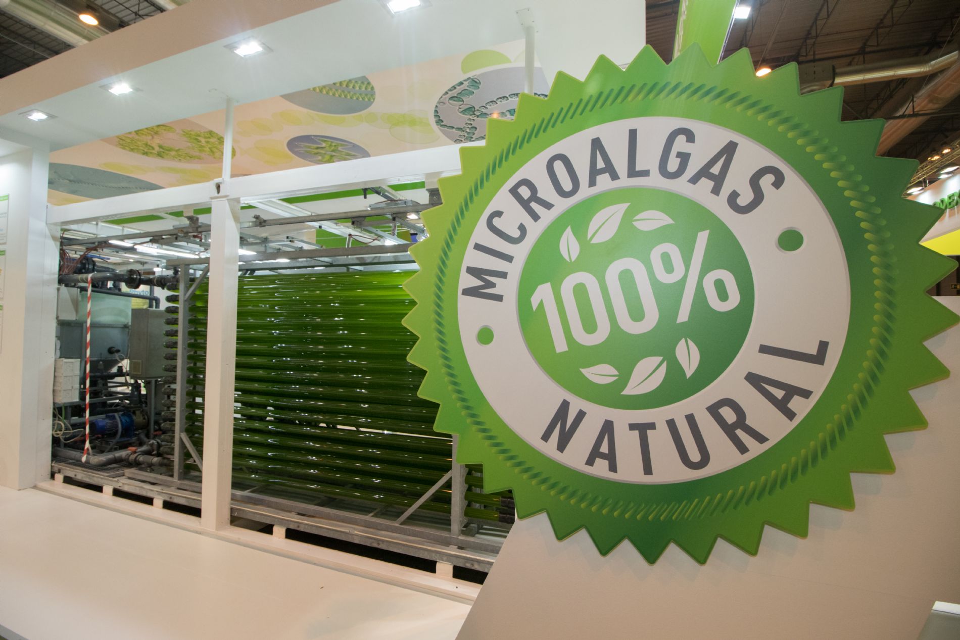 AgriAlgae