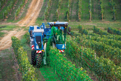 New Holland