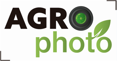 Agrophoto