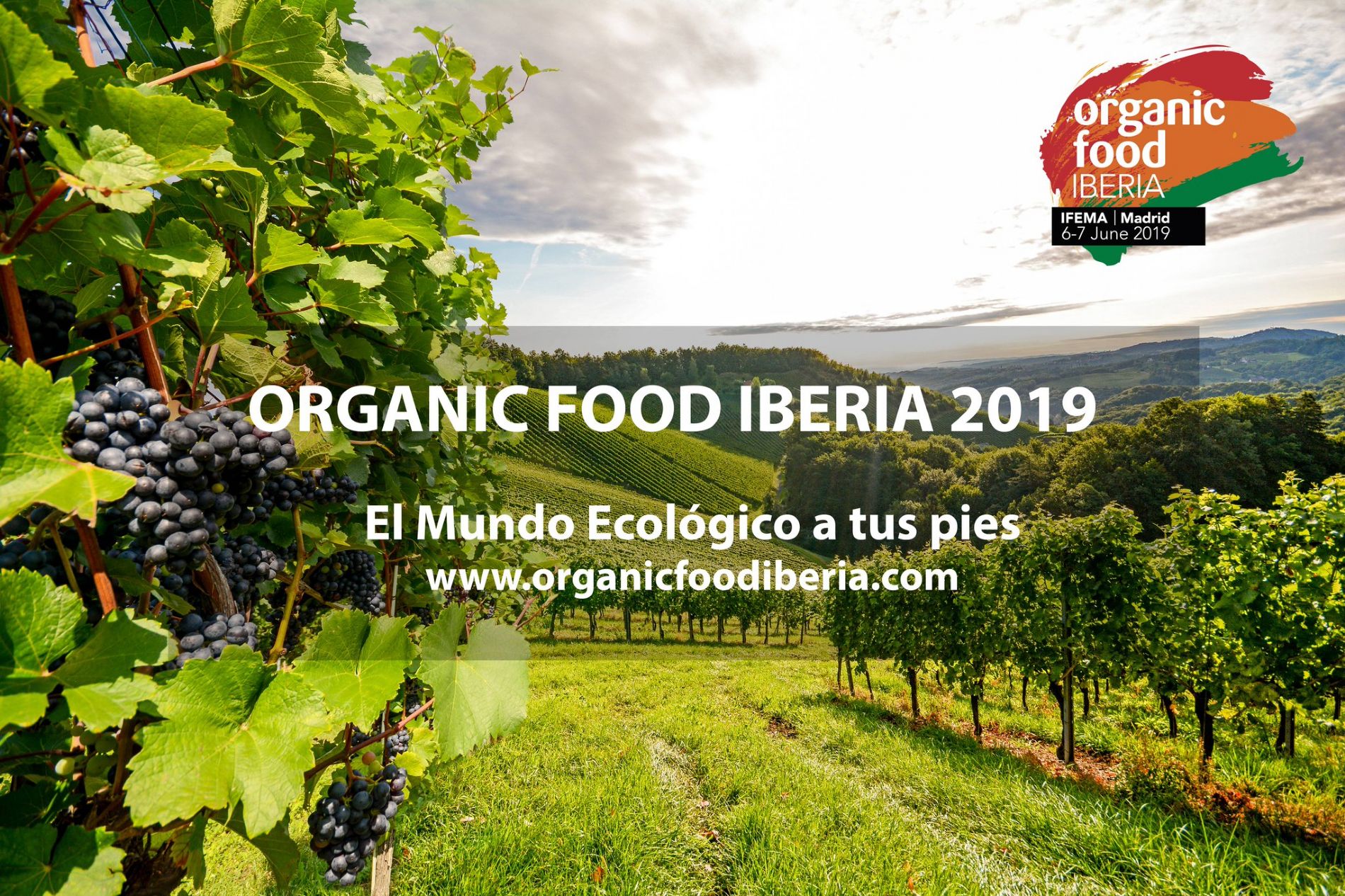 Organic Food
