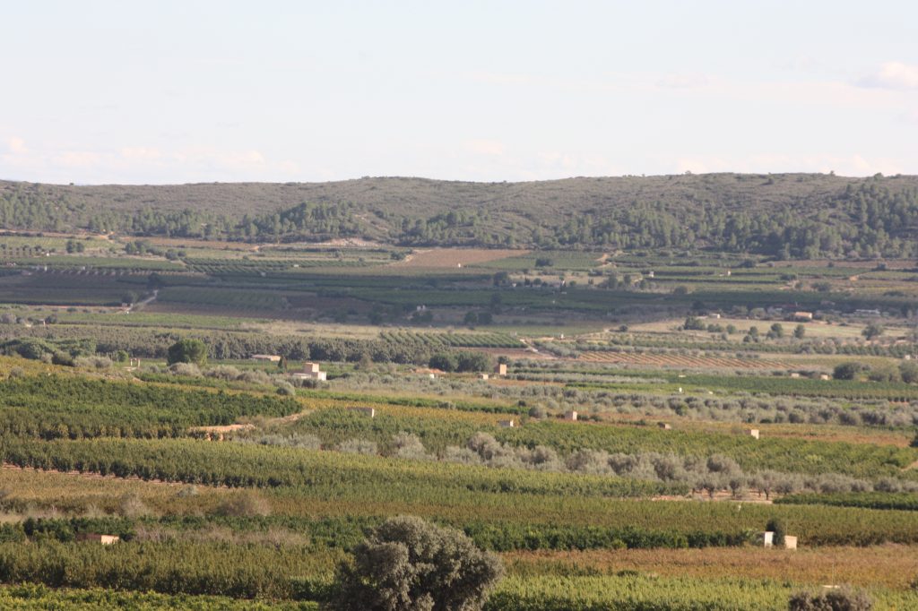 Demoagro