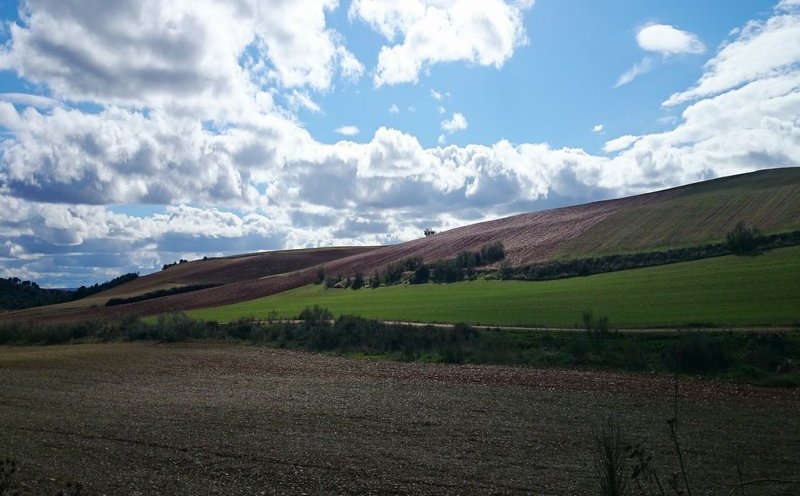 Anffe campo