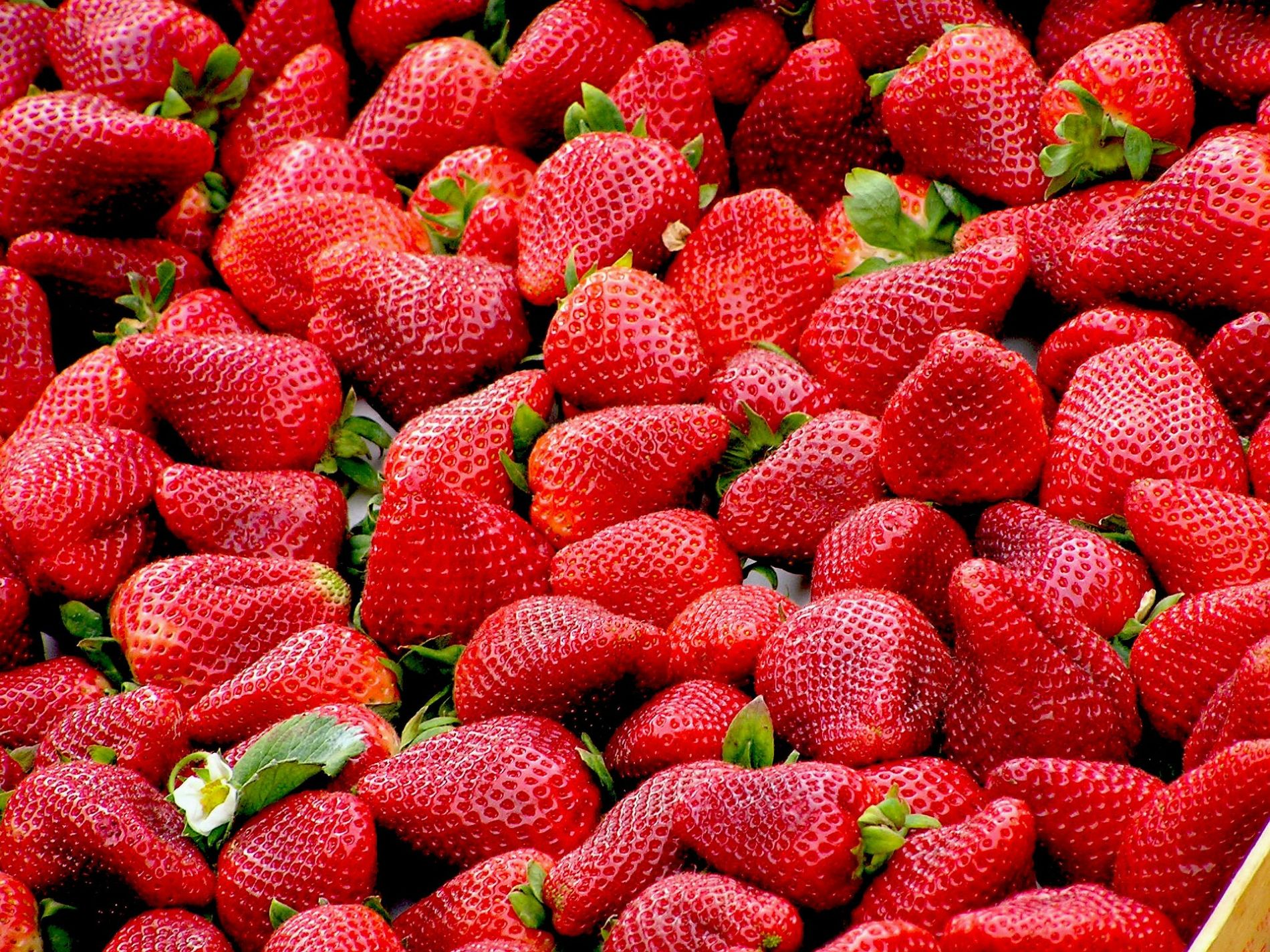Frutos rojos