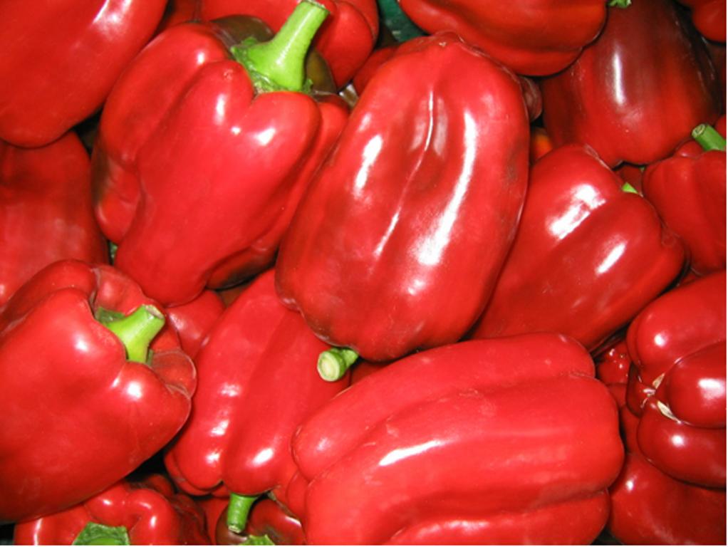 Pimiento