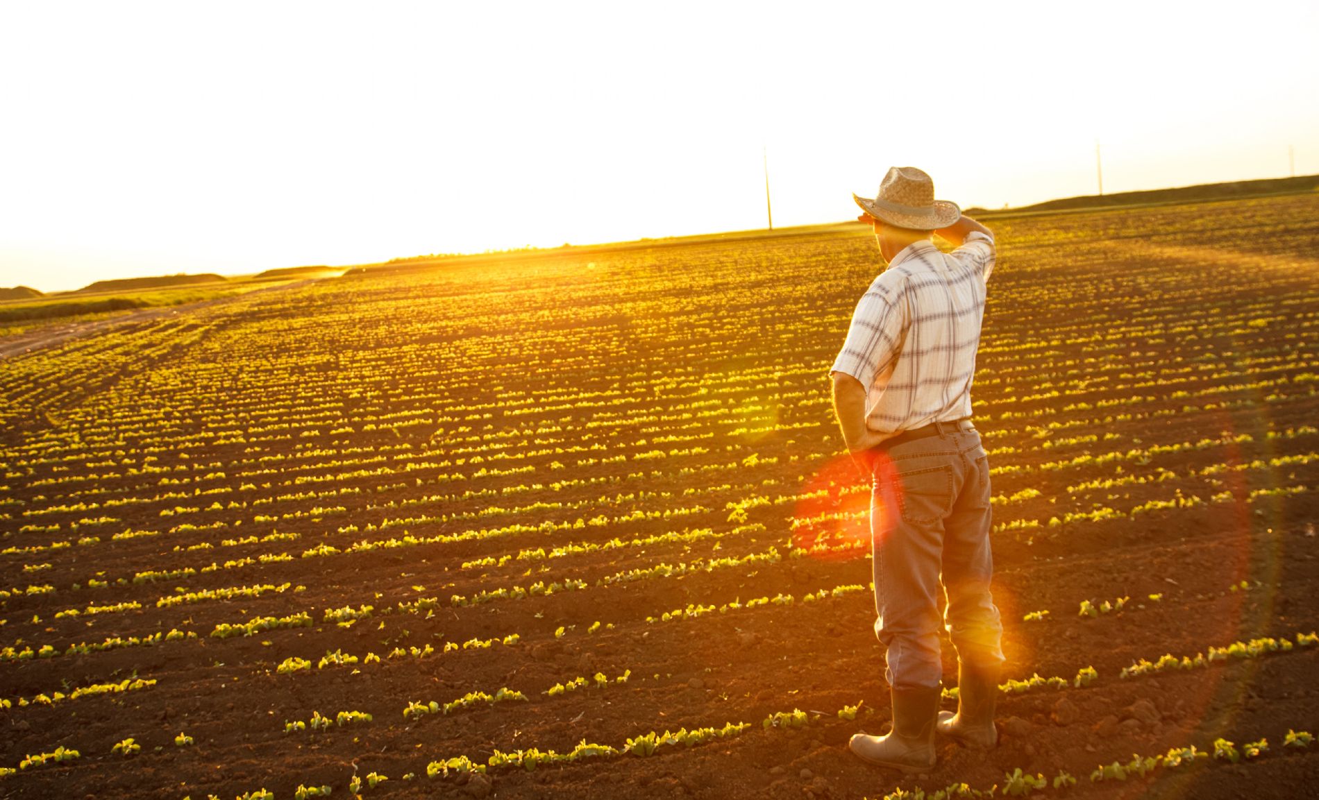 agricultor