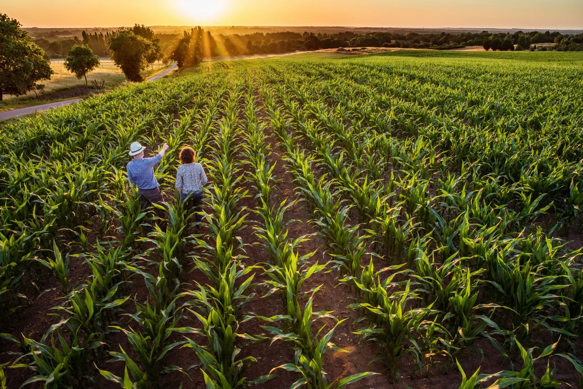Agricultores
