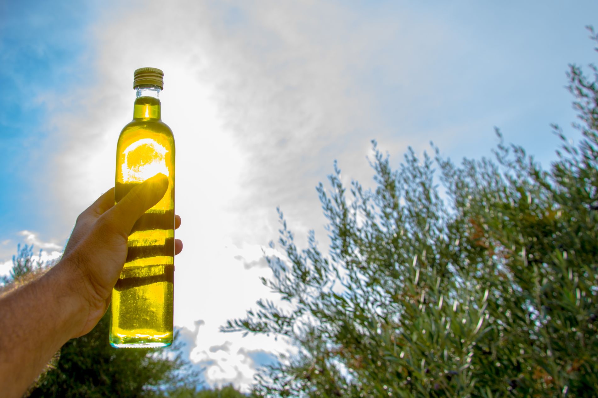 Aceite